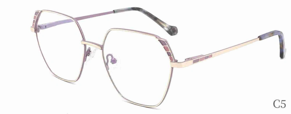 Xc62109 Anti-Blue Light Eyewear/Tr90 Optical Frames Blue Light Blocking Glasses/ Optical Frames Myopia Eyeglasses