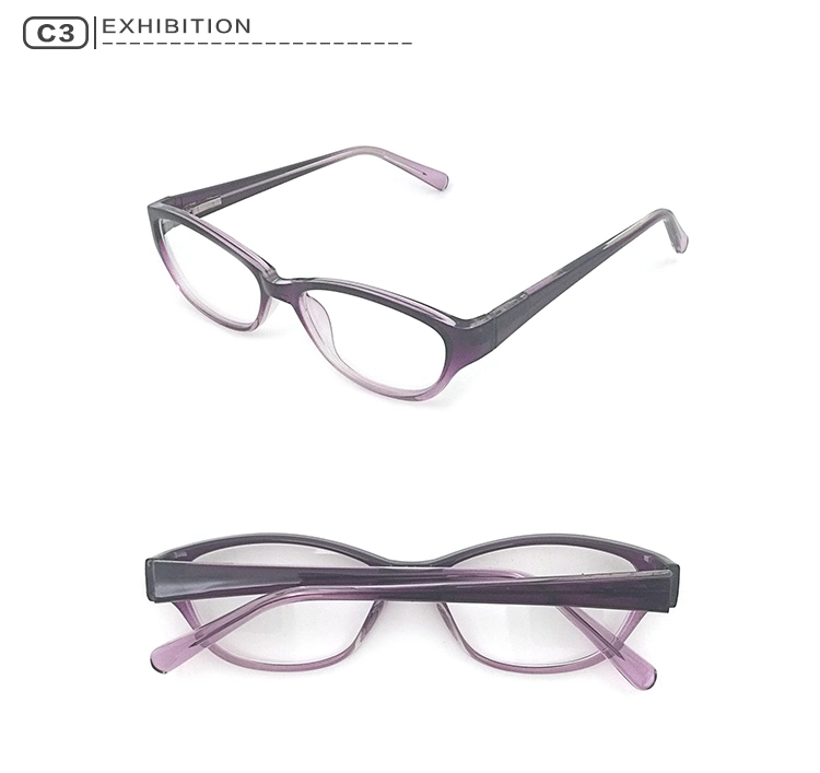 China Wholesale Best Optical Acetate Modern Classic Designer Spring Hinge Optical Eyeglass Frames