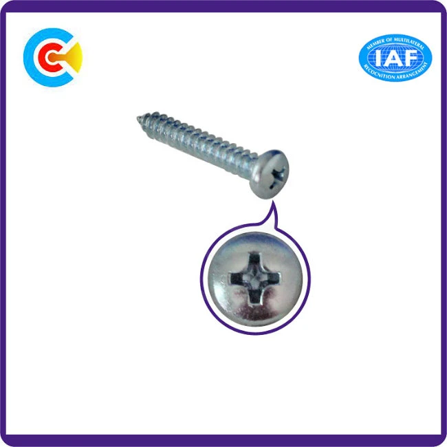 Stainless Steel/4.8/8.8/10.9 Galvanized Self-Tapping Screw for Bridge