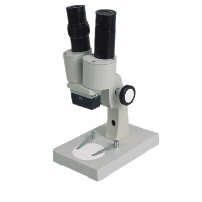 Scientific Basic Dual Head Stereo Microscope with Natural Light (BM-1AP)