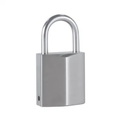  Seguridad Locksmith Actualizar la gestión de claves inteligentes con registros a todos Acceso para cerradura de puerta delantera mejor