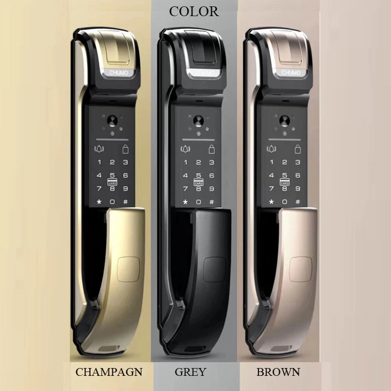 4.5&quot; Display Screen Visible Fingerprint Smart Lock with Light