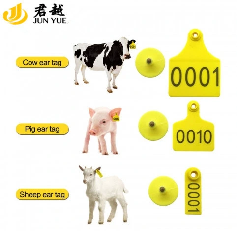 Animal Ear Tag