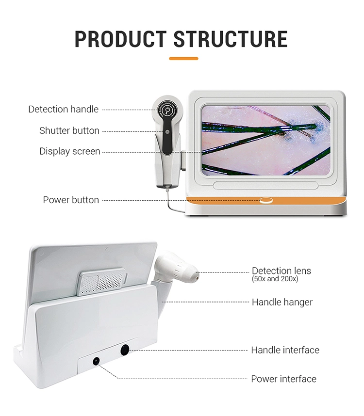 Portable Home Use Hair Follicle Detection Face Scanner Skin Analyzer Device Skin Test Facial Hair and Scalp Analysis Machine