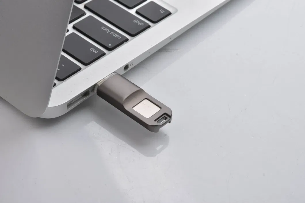 Finger Print USB Flash Drive Memory Stick Pen Drive Password USB (Sengston)