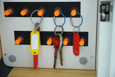 99Plus Intelligent Key Management Locker con lettore di schede IC e. Impronta digitale