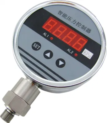 Termoregolatore elettronico intelligente ad alta precisione 220/3A