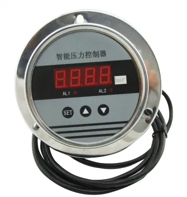 Termoregolatore elettronico intelligente ad alta precisione 220/3A