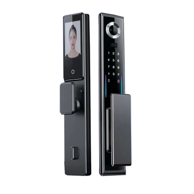 Chiusura Smart Door nascosta con funzione Fingerprint 3D Face Unlock