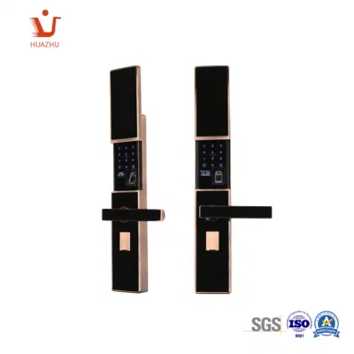  Impronta digitale Smart Lock intelligente in lega di zinco con vendita a caldo Password IC Card schermo LED meccanico moderno per uso domestico
