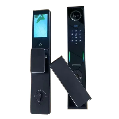 Chiusura Smart Door nascosta con funzione Fingerprint 3D Face Unlock