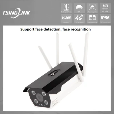  Telecamera IP megapixel con tecnologia Bullet, riconoscimento facciale umano impermeabile per esterni