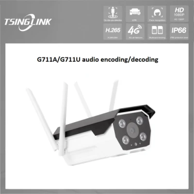  Riconoscimento facciale impermeabile TVCC telecamera megapixel Bullet personalizzata