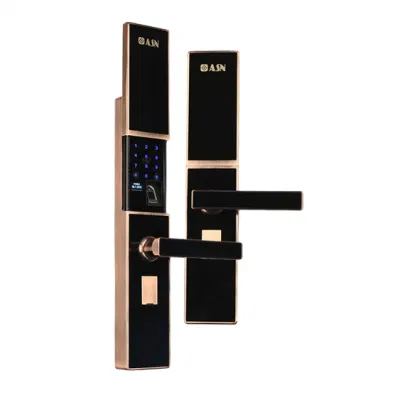 Impronta digitale Smart Lock intelligente in lega di zinco con vendita a caldo Password IC Card schermo LED meccanico moderno per uso domestico