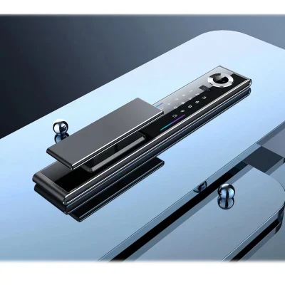 Chiusura Smart Door nascosta con funzione Fingerprint 3D Face Unlock