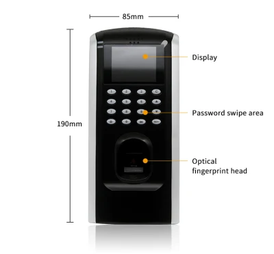 Macchina per presenze con impronte digitali del sistema di controllo dell&prime;accesso in fabbrica in Cina
