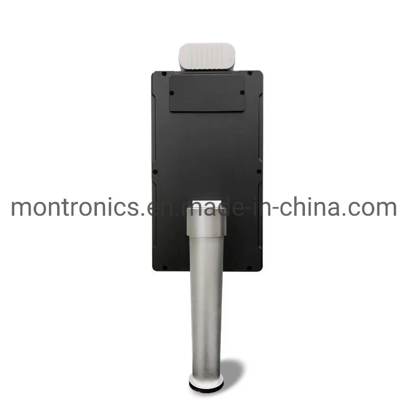 10 Inch IPS Ai Biometric Face Facial Recognition and Temperature Measuring Device
