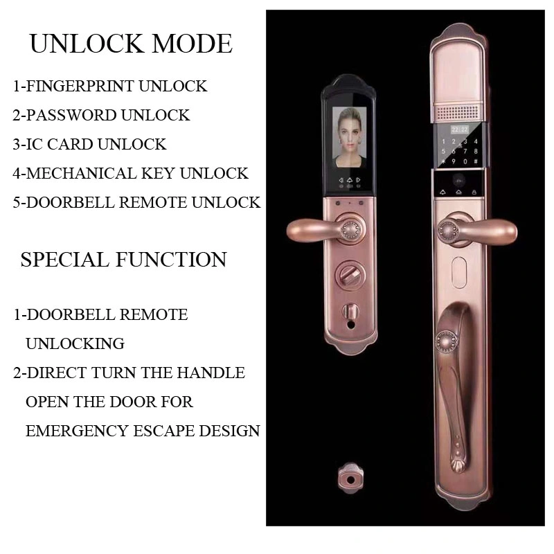 Villa Entrancy Door Visible Fingerprint Password Smart Lock