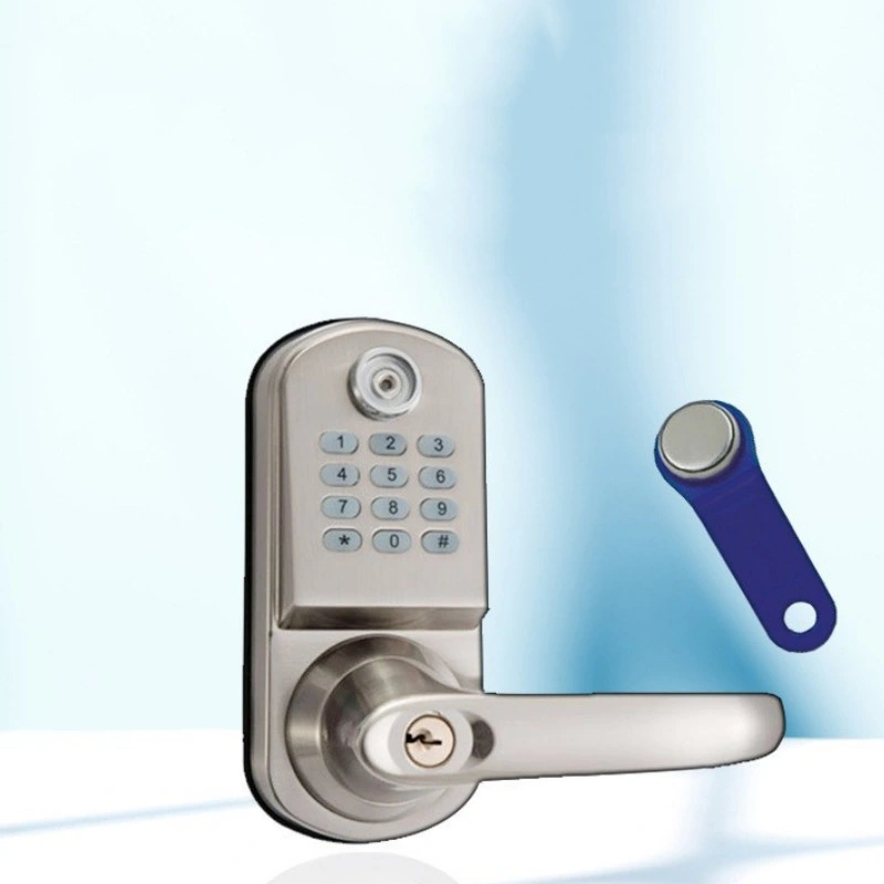 Zinc Alloy Security Electronic Smart Biometric Fingerprint Door Lock with BLE WiFi Ttlock APP for Home