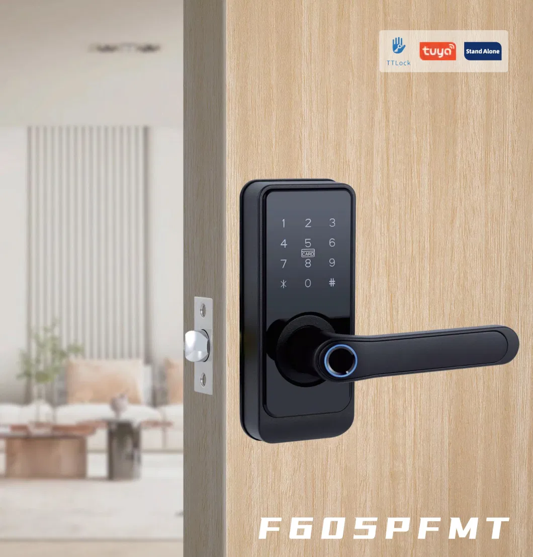 Tuya WiFi APP High Security Smart Lock Biometric Fingerprint Smart Door Lock ANSI Standard for Home Hotel Apartment