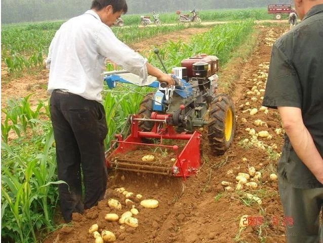 Single Row (casting) Potato Harveste/Planter Agriculture Machinery for Tractor