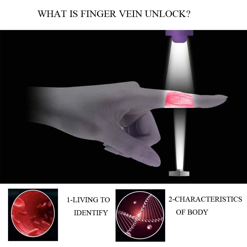 Finger Vein Password IC Card Key Visible Smart Lock