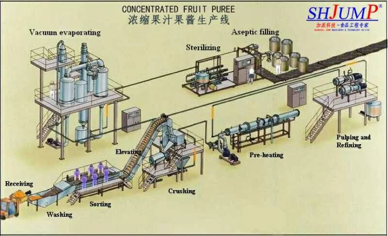 Advanced Technique Fruit Paste Processing Machine/Fruit Processing Equipment/Fruit Pulp Making Machine/Fruit Juice Production Line