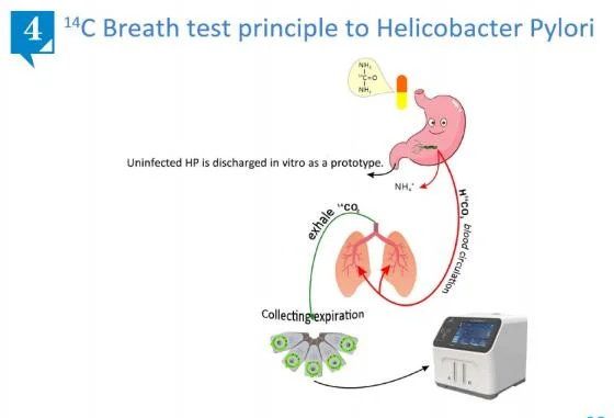 Urea Breath Test C14 Machine Helicobacter Pylori Detector Price