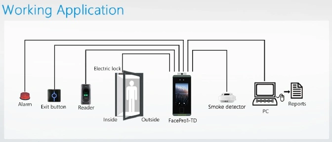 Palm Facial Recognition System with Large Capacity and Speedy Recognition