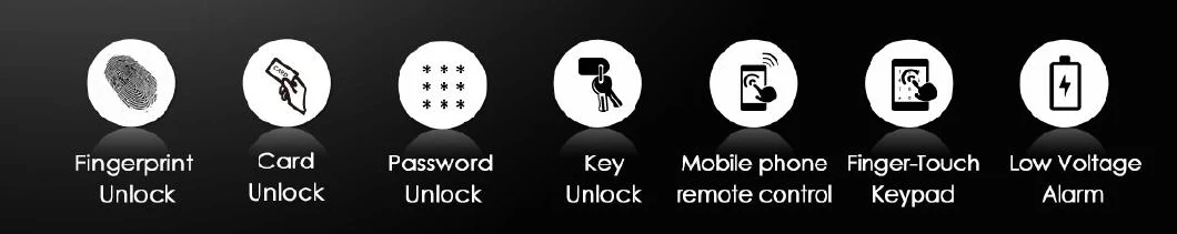 Biometric Fingerprint Door Lock Bluetooth Lock for Company (UL650)