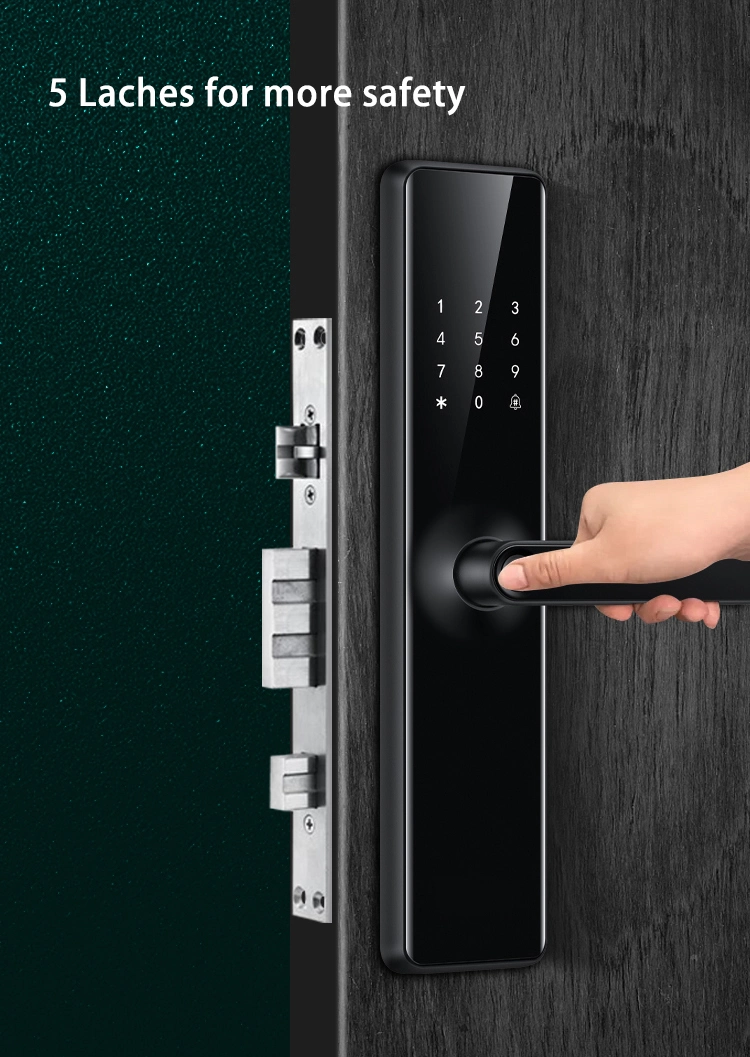 Villa Door Visible Fingerprint Password Anti Theft Safe Five Latches Tuya Remote Ttlock Factory Direct Sale Smart Door Lock
