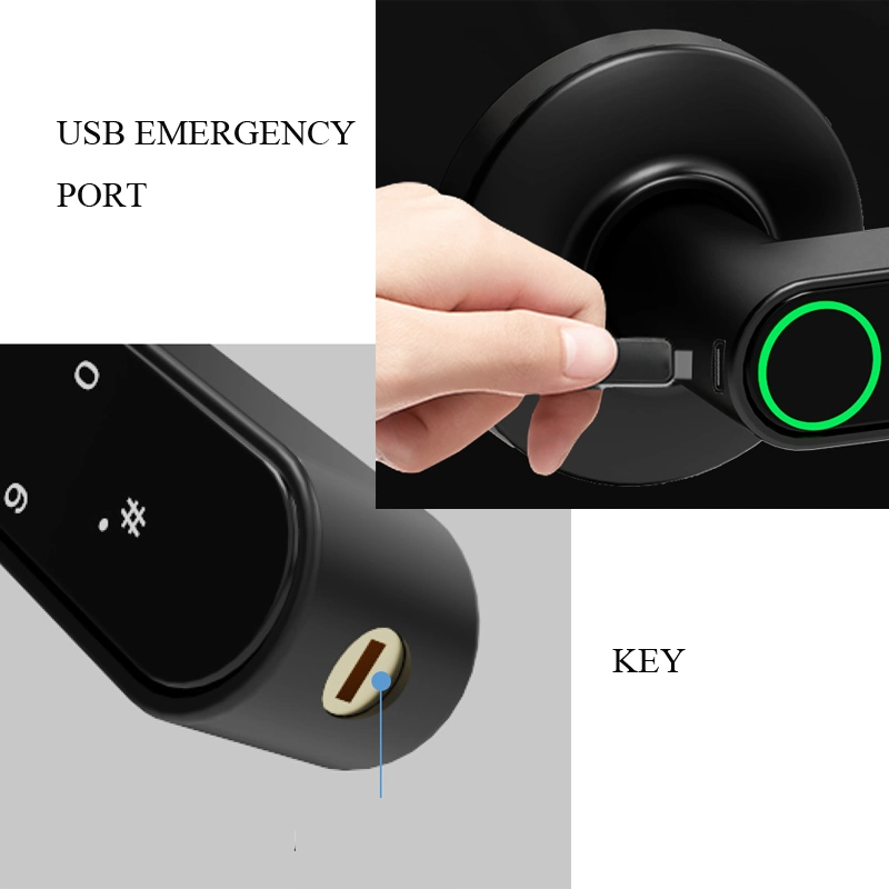 Tuya Bluetooth APP Rossette Digital Lock with 55X72 Lockbody