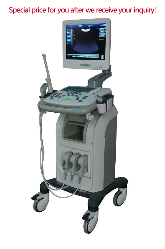 High Grade/Full Digital Ultrasound Diagnosing Device (THR-US9902)