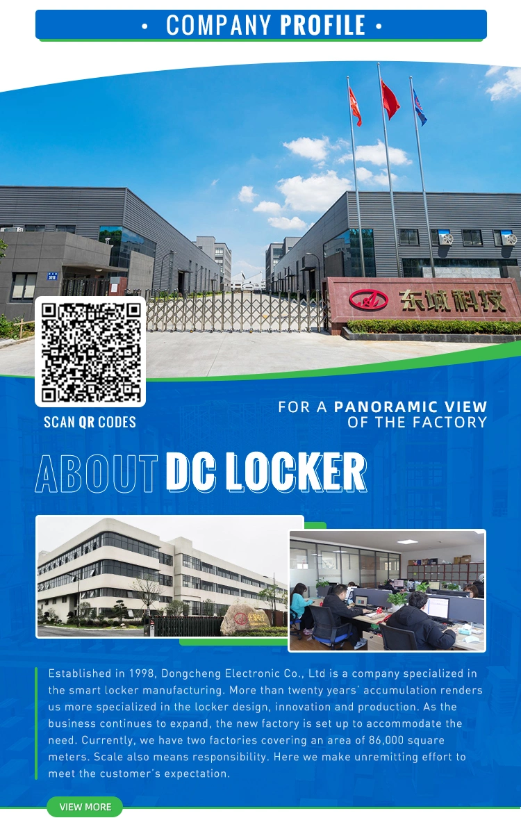 Cold Rolled Steel Face Identification DC Digital Lockers Delivery Locker