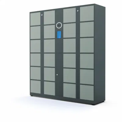 Smart Lockers Smartlock Распознавание лица Digital Locker тренажерный зал и аквапарк Устройства блокировки хранения