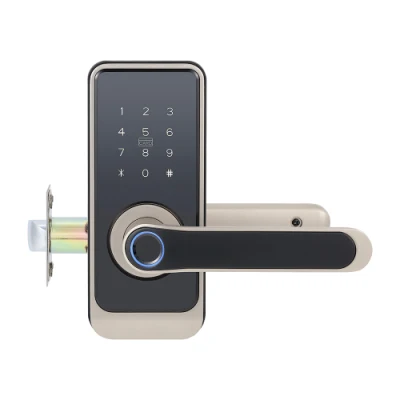 Приложение Tuya WiFi Высокая безопасность Smart Lock биометрический отпечаток пальца Smart Дверной замок ANSI Стандарт для дома Отель Квартира