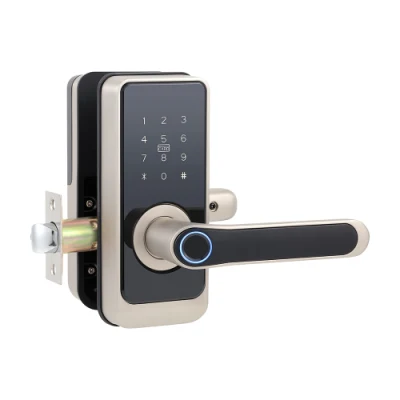 Приложение Tuya WiFi Высокая безопасность Smart Lock биометрический отпечаток пальца Smart Дверной замок ANSI Стандарт для дома Отель Квартира