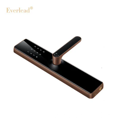 Villa Door Visible Fingerprint Password Anti Theft Safe пять защелок Tuya Remote Ttlock Завод прямой продажи Smart Door Lock