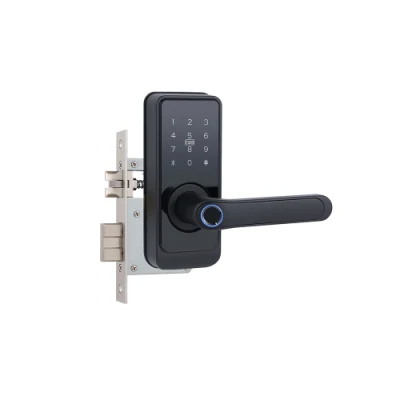 Приложение Tuya WiFi Высокая безопасность Smart Lock биометрический отпечаток пальца Smart Дверной замок ANSI Стандарт для дома Отель Квартира