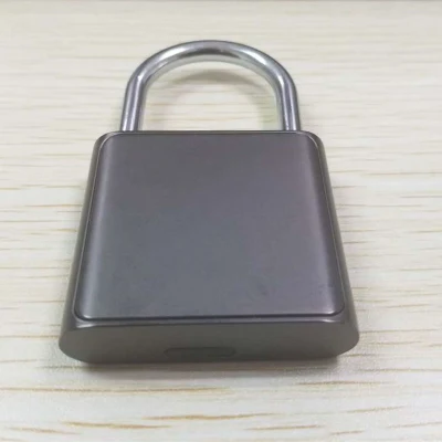 Бесплатная доставка Smart считыватель отпечатков пальцев замок с USB