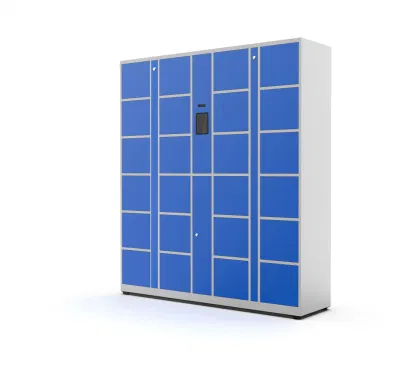 Smart Lockers Smartlock Распознавание лица Digital Locker тренажерный зал и аквапарк Устройства блокировки хранения