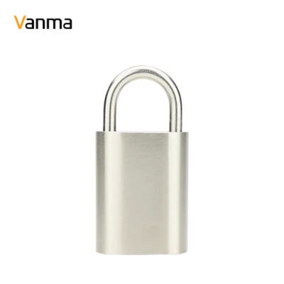 Vanma High-Security Система управления дверными замками Inteligente Система распознавания отпечатков пальцев Multi-Factor Аутентификация Управление Smart Access с помощью отчета разблокировки