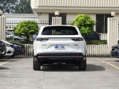 DFM Honda E: NS1 Pure Electric SUV E Gallop Version Used Car