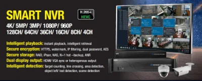 Fsan Smart AI Face Support 16 тб 2 жестких дисков PoE ONVIF СЕТЕВОЙ ВИДЕОРЕГИСТРАТОР