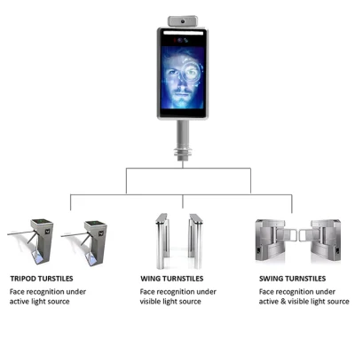 Определение температуры Face Recognition камеры при измерении температуры устройства чтения карт памяти