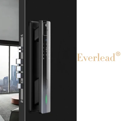 Новое Прибытие Распознавание лица Главная Безопасность Smart Door Lock лицо Распознавание биометрический пароль отпечатков пальцев Интеллектуальная блокировка дверей
