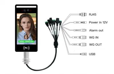 Face Recognition для динамического наблюдения системы безопасности Face Recognition комплексной машины