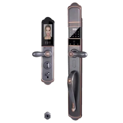Вилла Entrancy дверь видимая отпечаток Пароль Smart Lock