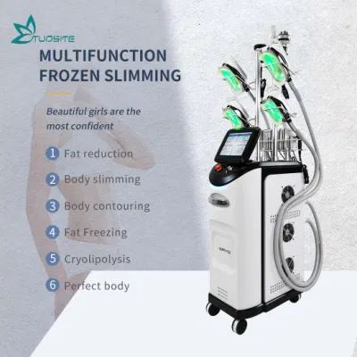Верхнюю часть продуктов с трендами 2022 360 Cryolipolyse Cryotherapy машины / Criolipolisis Cryolipolysis машины