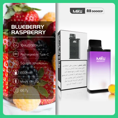  Wholesale Miku Puff Bar 5000puffs Ecig 10 Ml Liquid Capacity 500mAh Battery Rechargeable Type-C